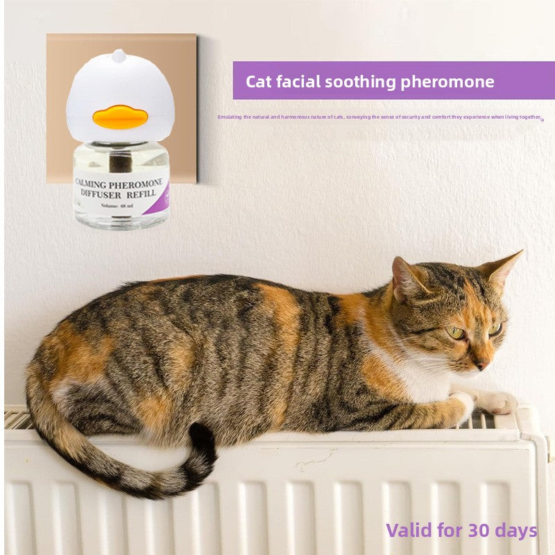 Pet Essentials