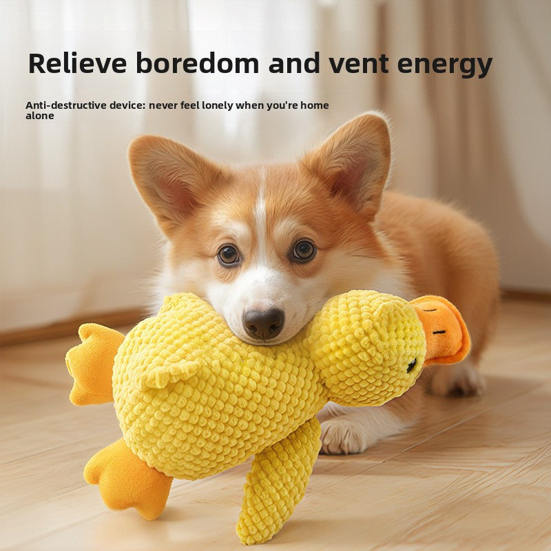 Pet Toys