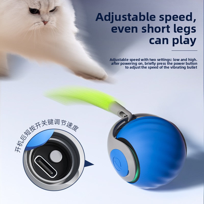 Cat toy cat teaser ball