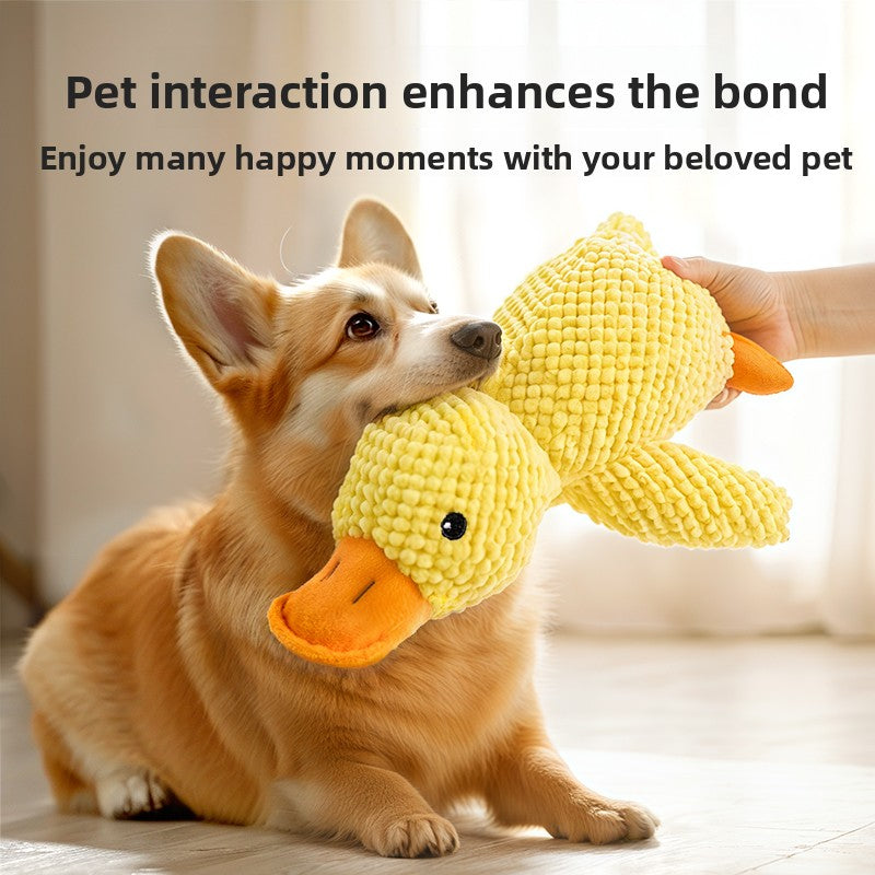 Squeaker Plush Chew Toy for Dogs