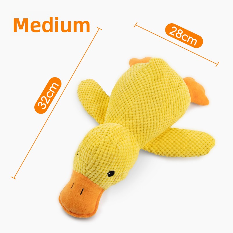 Squeaker Plush Chew Toy for Dogs
