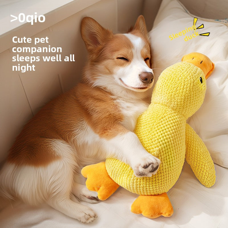 Squeaker Plush Chew Toy for Dogs