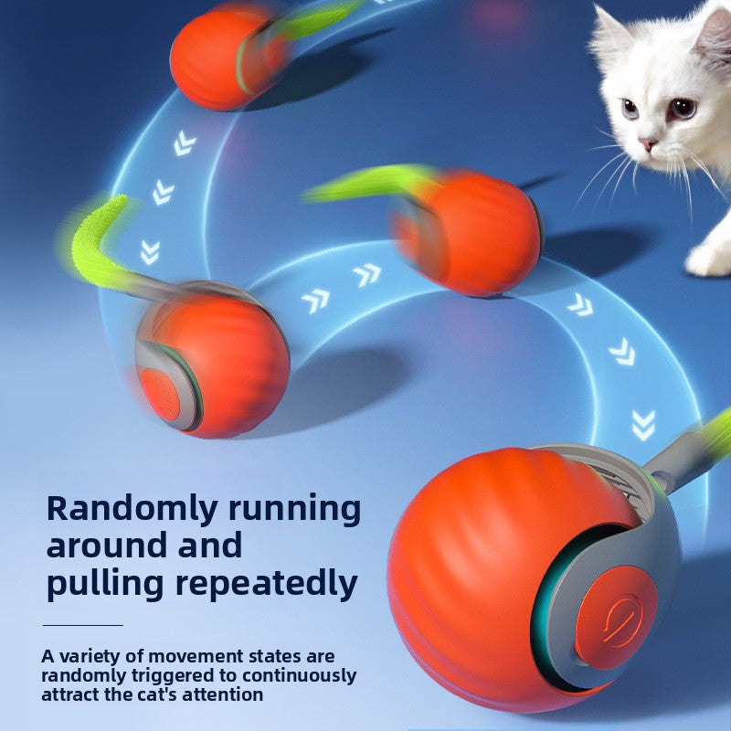 Cat toy cat teaser ball