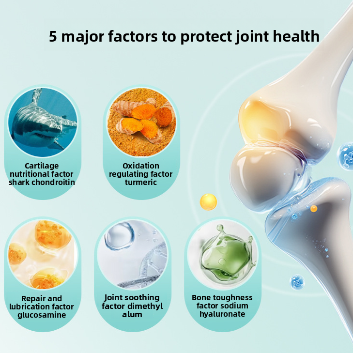 Shark Chondroitin Calcium Tablets for Senior Dogs